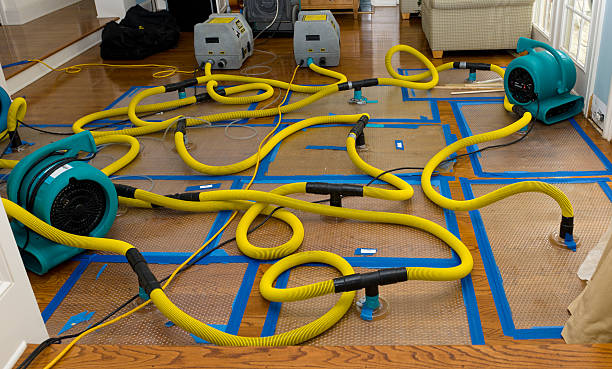 Professional Water Damage Repair technician working in Buckholts, TX