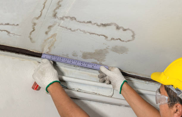 Affordable Water Damage Repair solutions in Buckholts, TX